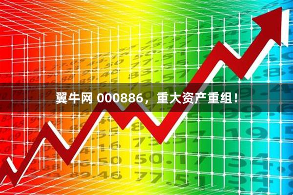 翼牛网 000886，重大资产重组！