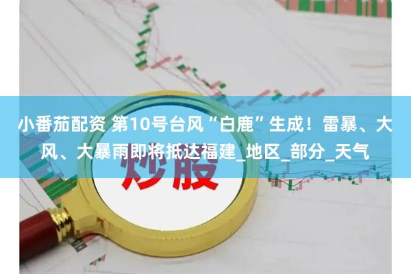 小番茄配资 第10号台风“白鹿”生成！雷暴、大风、大暴雨即将抵达福建_地区_部分_天气